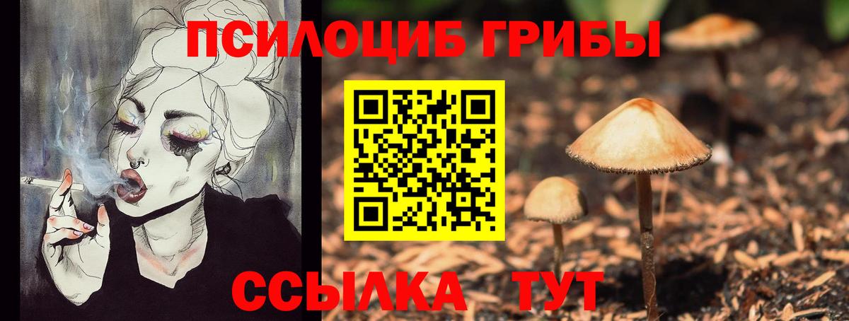 Партизанск  Галлюциногенные грибы Magic Shrooms  где можно купить наркотик  Галлюциногенные грибы Psilocybine cubensis  Вход с VPN 